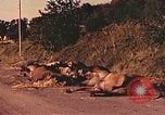 Image of damaged bridge France, 1944, second 44 stock footage video 65675059823