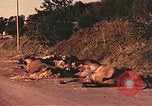 Image of damaged bridge France, 1944, second 45 stock footage video 65675059823