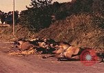 Image of damaged bridge France, 1944, second 46 stock footage video 65675059823