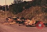 Image of damaged bridge France, 1944, second 47 stock footage video 65675059823