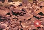 Image of damaged vehicles France, 1944, second 39 stock footage video 65675059824