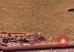Immagine di Danneggiato ferrovia via Francia, 1944, secondo 62 filmato di repertorio 65675059826