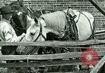 Image stagecoach Ypsilanti Michigan USA, 1923, de la seconde 43 séquences d'archives historiques vidéo 65675059831