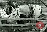 Image stagecoach Ypsilanti Michigan USA, 1923, de la seconde 44 séquences d'archives historiques vidéo 65675059831