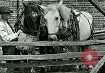 Image stagecoach Ypsilanti Michigan USA, 1923, de la seconde 45 séquences d'archives historiques vidéo 65675059831