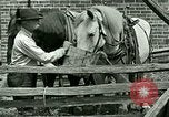 Image stagecoach Ypsilanti Michigan USA, 1923, de la seconde 50 séquences d'archives historiques vidéo 65675059831