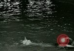 Standbild Wasser Rettung United States USA, 1923, aus Sekunde 37 historischem Filmmaterial Videoclip 65675059832