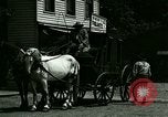 Standbild Pferdekutsche Ypsilanti Michigan USA, 1923, aus Sekunde 41 historischem Filmmaterial Videoclip 65675059848