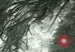 Image of Silver Springs Florida United States USA, 1920, second 24 stock footage video 65675059849