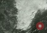 Image of Silver Springs Florida United States USA, 1920, second 27 stock footage video 65675059849