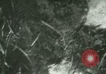 Image of Silver Springs Florida United States USA, 1920, second 28 stock footage video 65675059849