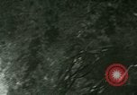 Image of Silver Springs Florida United States USA, 1920, second 31 stock footage video 65675059849