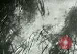 Image of Silver Springs Florida United States USA, 1920, second 35 stock footage video 65675059849