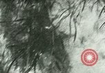 Image of Silver Springs Florida United States USA, 1920, second 36 stock footage video 65675059849