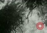 Image of Silver Springs Florida United States USA, 1920, second 37 stock footage video 65675059849