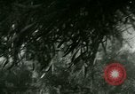 Image of Silver Springs Florida United States USA, 1920, second 39 stock footage video 65675059849
