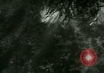 Image of Silver Springs Florida United States USA, 1920, second 40 stock footage video 65675059849