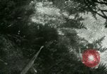Image of Silver Springs Florida United States USA, 1920, second 42 stock footage video 65675059849