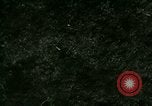 Image of Silver Springs Florida United States USA, 1920, second 47 stock footage video 65675059849