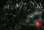 Image of Silver Springs Florida United States USA, 1920, second 50 stock footage video 65675059849