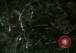 Image of Silver Springs Florida United States USA, 1920, second 52 stock footage video 65675059849