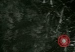 Image of Silver Springs Florida United States USA, 1920, second 53 stock footage video 65675059849