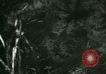 Image of Silver Springs Florida United States USA, 1920, second 54 stock footage video 65675059849