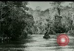 Immagine di Silver Springs Florida United States USA, 1920, secondo 1 filmato di repertorio 65675059850