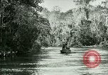 Immagine di Silver Springs Florida United States USA, 1920, secondo 3 filmato di repertorio 65675059850