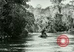Immagine di Silver Springs Florida United States USA, 1920, secondo 4 filmato di repertorio 65675059850