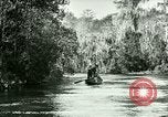 Immagine di Silver Springs Florida United States USA, 1920, secondo 6 filmato di repertorio 65675059850