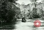 Immagine di Silver Springs Florida United States USA, 1920, secondo 7 filmato di repertorio 65675059850