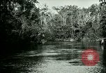 Immagine di Silver Springs Florida United States USA, 1920, secondo 11 filmato di repertorio 65675059850