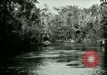 Immagine di Silver Springs Florida United States USA, 1920, secondo 12 filmato di repertorio 65675059850