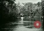 Immagine di Silver Springs Florida United States USA, 1920, secondo 14 filmato di repertorio 65675059850