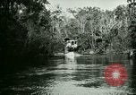 Immagine di Silver Springs Florida United States USA, 1920, secondo 15 filmato di repertorio 65675059850