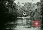 Immagine di Silver Springs Florida United States USA, 1920, secondo 17 filmato di repertorio 65675059850