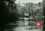 Immagine di Silver Springs Florida United States USA, 1920, secondo 19 filmato di repertorio 65675059850