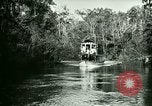 Immagine di Silver Springs Florida United States USA, 1920, secondo 21 filmato di repertorio 65675059850