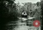 Immagine di Silver Springs Florida United States USA, 1920, secondo 23 filmato di repertorio 65675059850