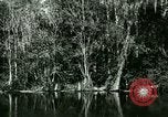 Immagine di Silver Springs Florida United States USA, 1920, secondo 29 filmato di repertorio 65675059850