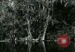 Immagine di Silver Springs Florida United States USA, 1920, secondo 30 filmato di repertorio 65675059850