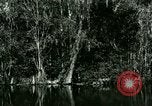 Immagine di Silver Springs Florida United States USA, 1920, secondo 31 filmato di repertorio 65675059850