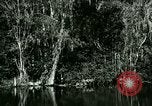 Immagine di Silver Springs Florida United States USA, 1920, secondo 32 filmato di repertorio 65675059850