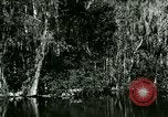 Immagine di Silver Springs Florida United States USA, 1920, secondo 33 filmato di repertorio 65675059850