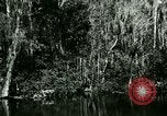 Immagine di Silver Springs Florida United States USA, 1920, secondo 34 filmato di repertorio 65675059850