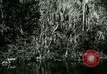 Immagine di Silver Springs Florida United States USA, 1920, secondo 35 filmato di repertorio 65675059850