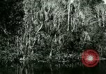 Immagine di Silver Springs Florida United States USA, 1920, secondo 36 filmato di repertorio 65675059850