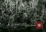 Immagine di Silver Springs Florida United States USA, 1920, secondo 38 filmato di repertorio 65675059850