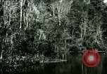 Immagine di Silver Springs Florida United States USA, 1920, secondo 39 filmato di repertorio 65675059850